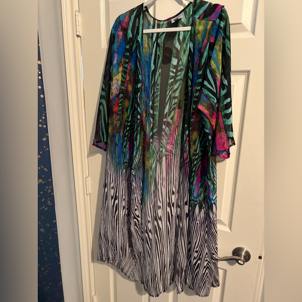 418- Avenue Multicolor Zebra-Print with Bright Abstract Accents sheer duster